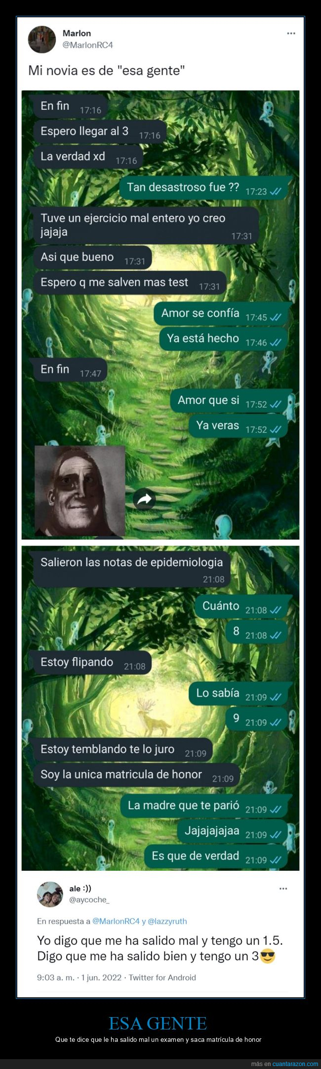 examen,mal,matrícula de honor