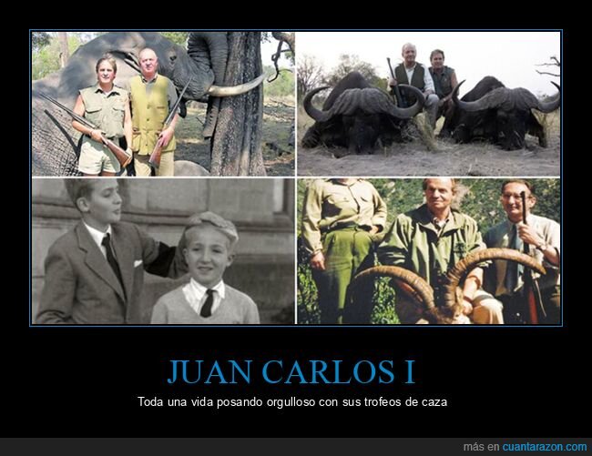 caza,hermano,juan carlos i,trofeos