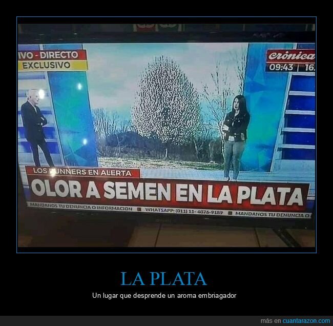 la plata,olor,wtf