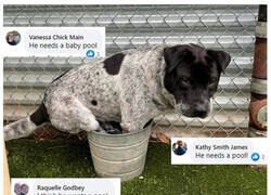 Enlace a Necesita una piscina