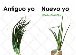 Enlace a Memes de «Antiguo yo VS Nuevo yo» que te ayudarán a reducir desperdicios