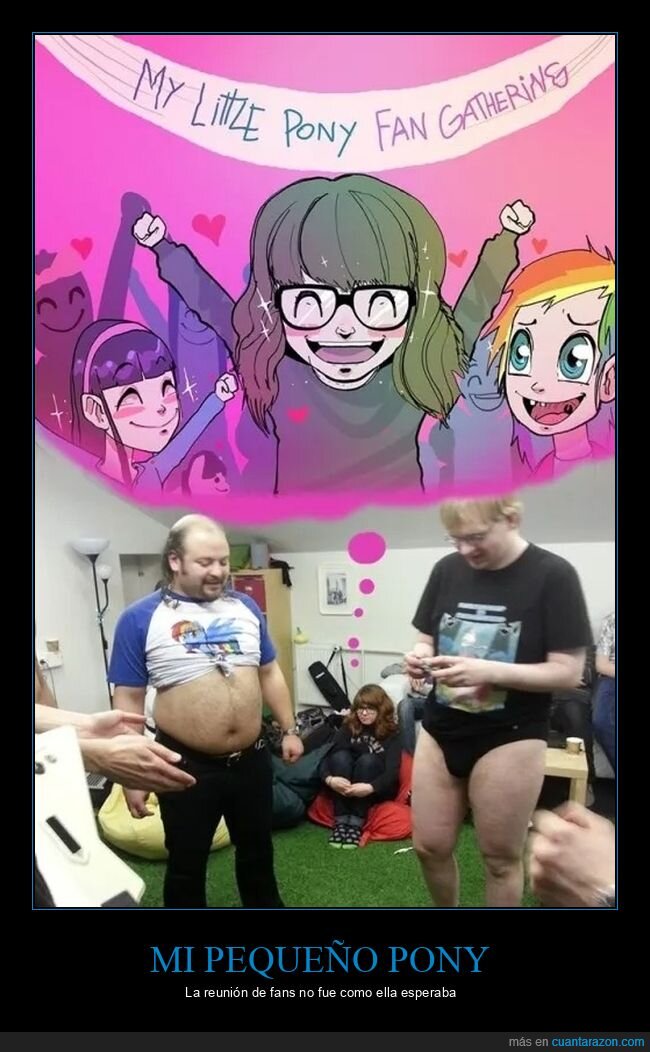 fans,mi pequeño pony,personajes,reunión