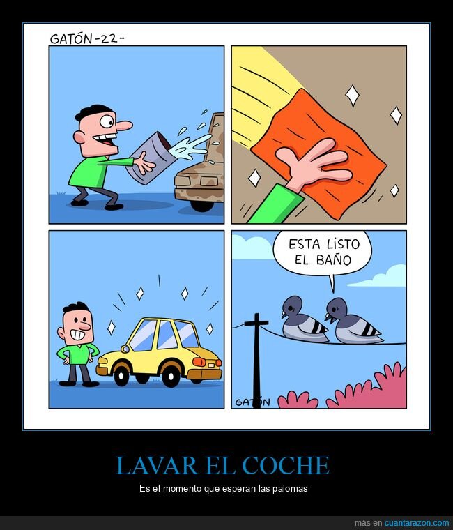 coches,lavar,palomas