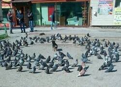 Enlace a Mejor vuelve por donde has venido