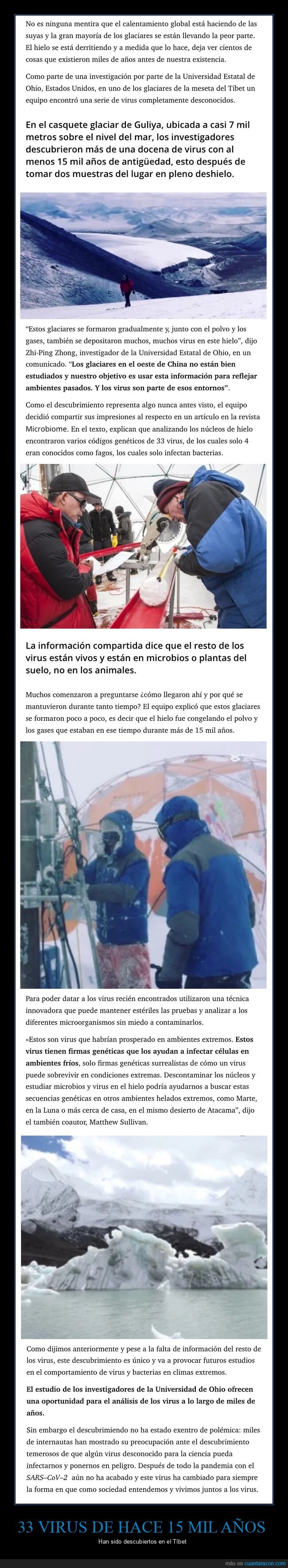 tibet,virus,glaciares