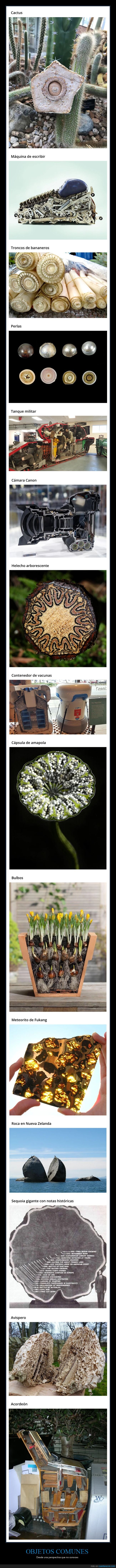 objetos comunes,cortados