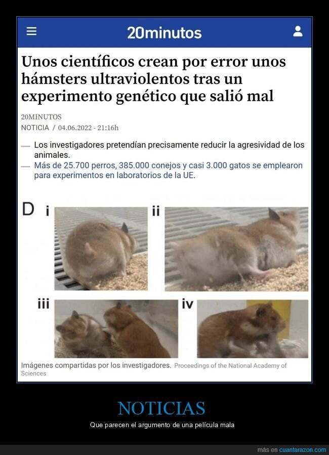 científicos,hámsters,ultraviolentos,experimento