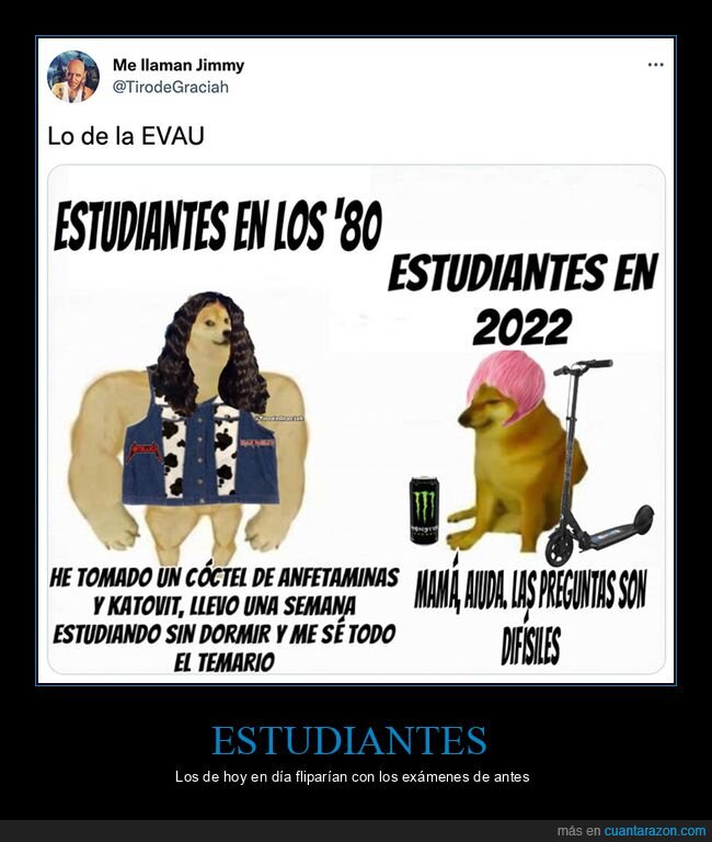 ahora,antes,doge y cheems,evau,selectividad