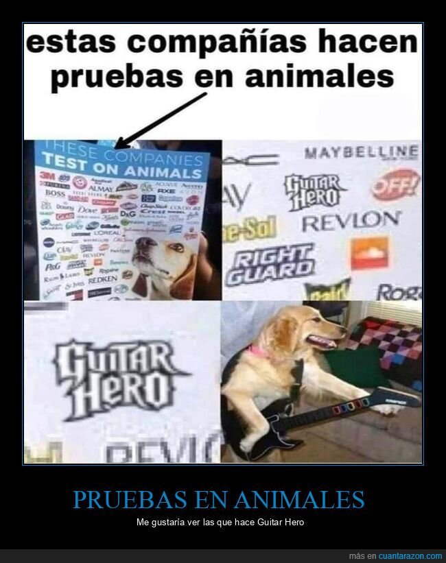 animales,empresas,guitar hero,pruebas,wtf