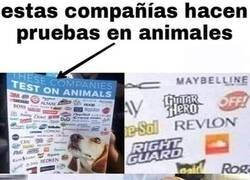 Enlace a Malditas empresas...