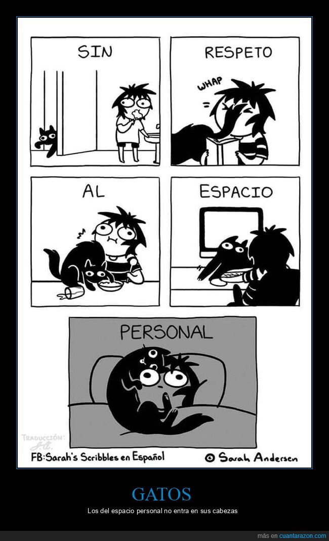 gato,espacio personal