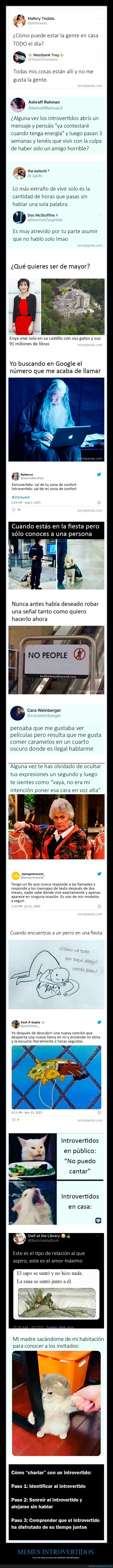 memes,introvertidos