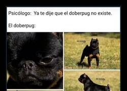 Enlace a Extraño híbrido