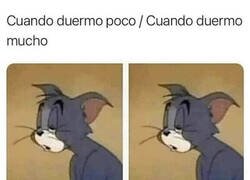 Enlace a Cuesta lograr el equilibrio...