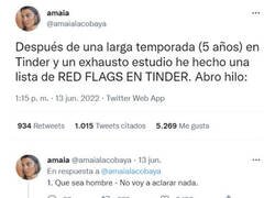 Enlace a Una tuitera comparte las banderas rojas que pone en Tinder, tras cinco años usándolo, para saber a qué tipo de chicos no hablar