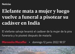 Enlace a Algo le habría hecho...