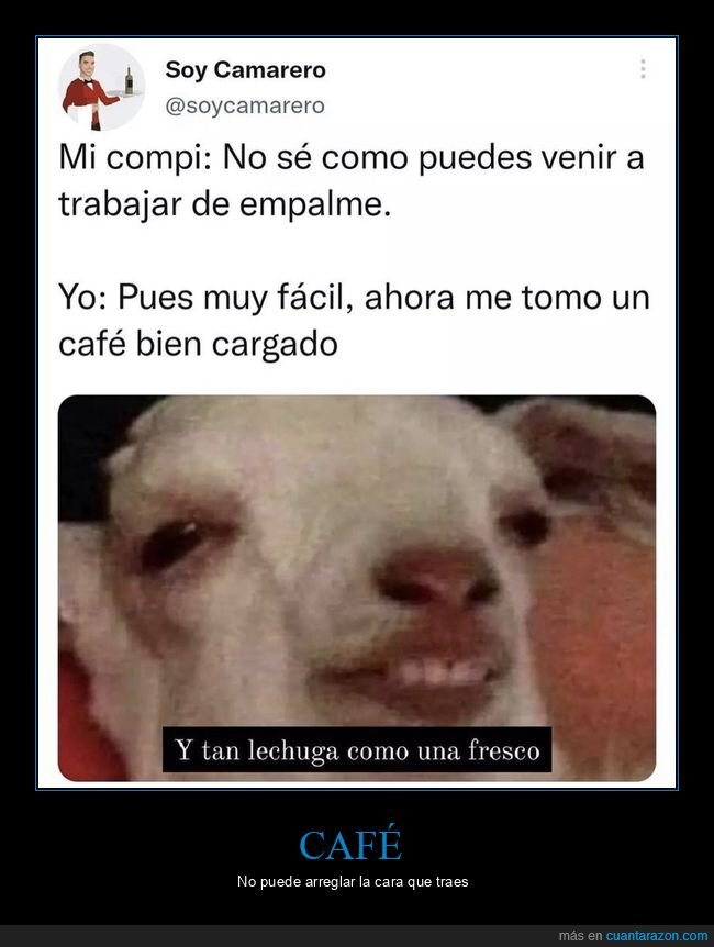 trabajar,empalme,café