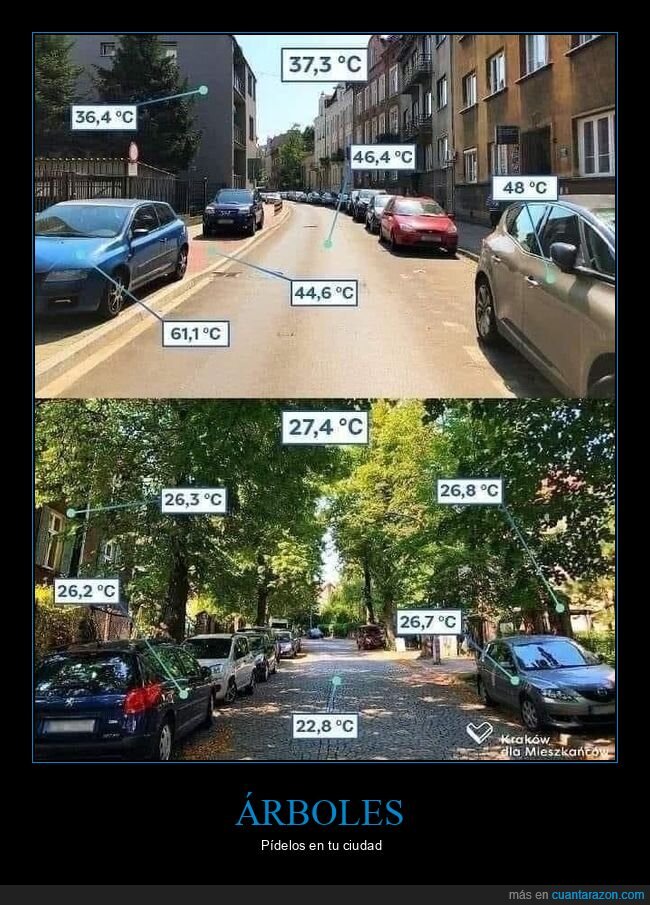 árboles,temperatura,ciudad