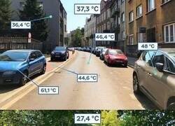 Enlace a Lo que las ciudades necesitan