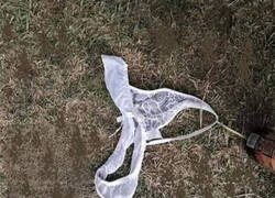 Enlace a Los tiempos cambian