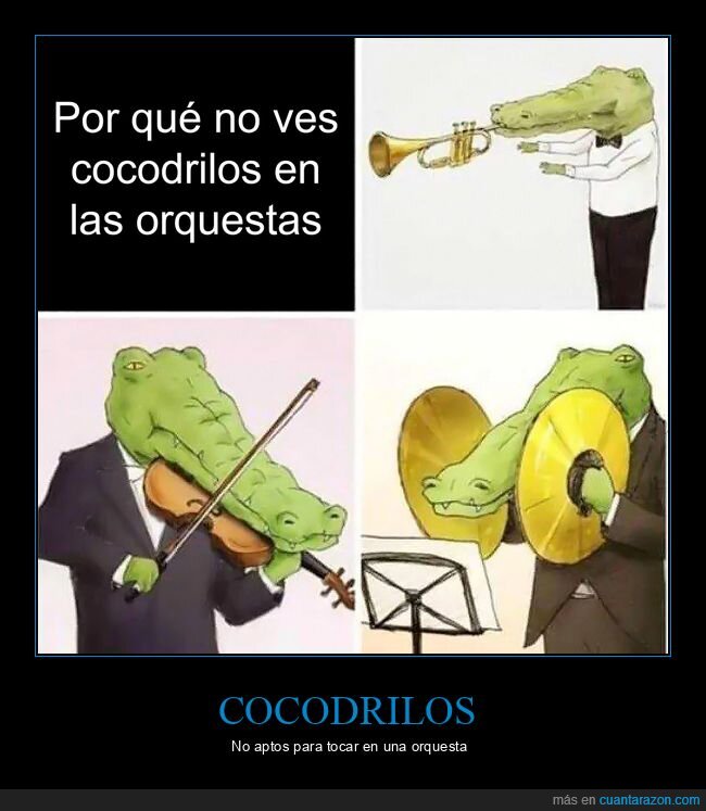 cocodrilos,orquestas