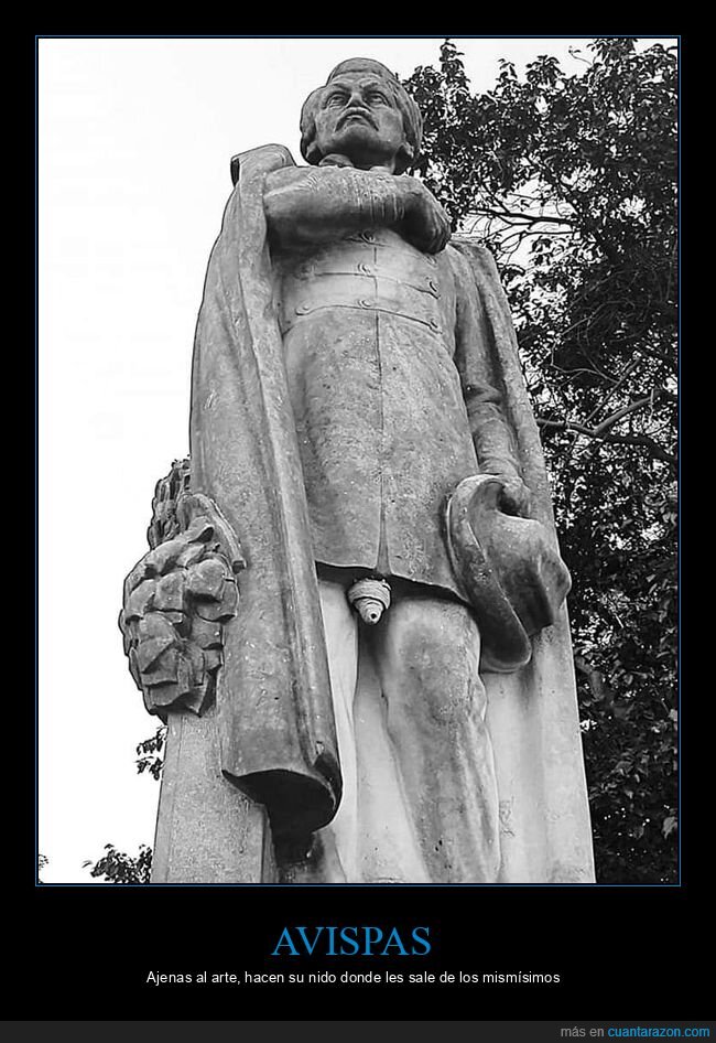 avispas,estatua,nido,wtf