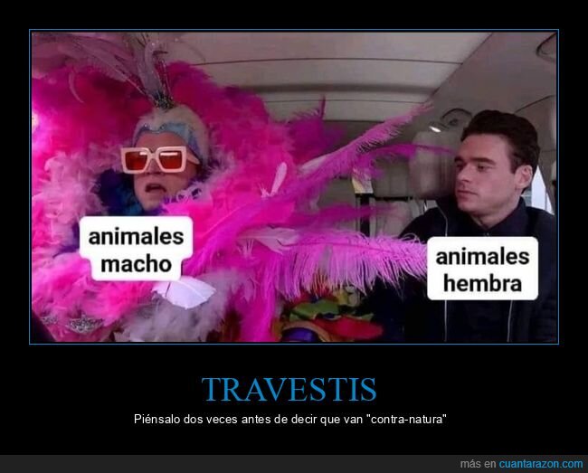 animales,machos,hembras