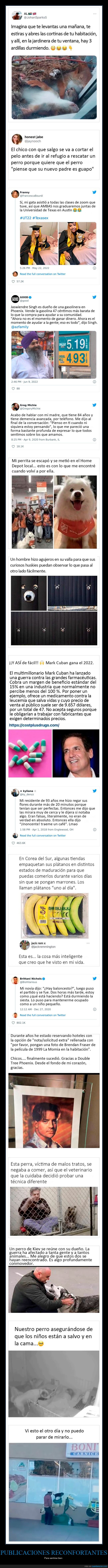 publicaciones reconfortantes