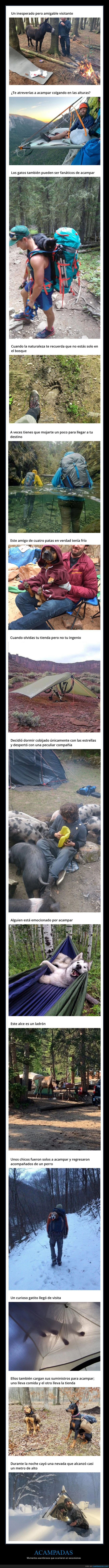 acampadas,situaciones