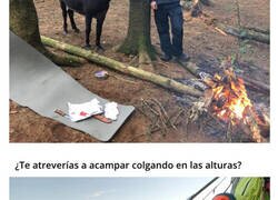 Enlace a Momentos asombrosos que ocurren cuando vas a acampar
