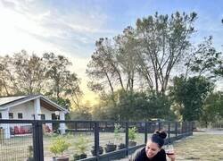 Enlace a ¿Qué está pasando aquí?