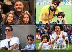 Enlace a No hay duda de que tienen los mismos genes