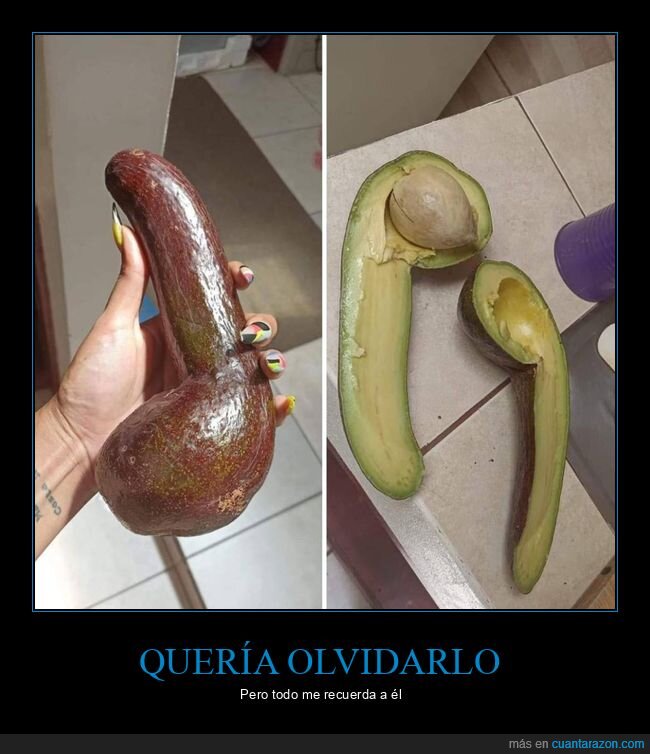 aguacate,fotma,wtf