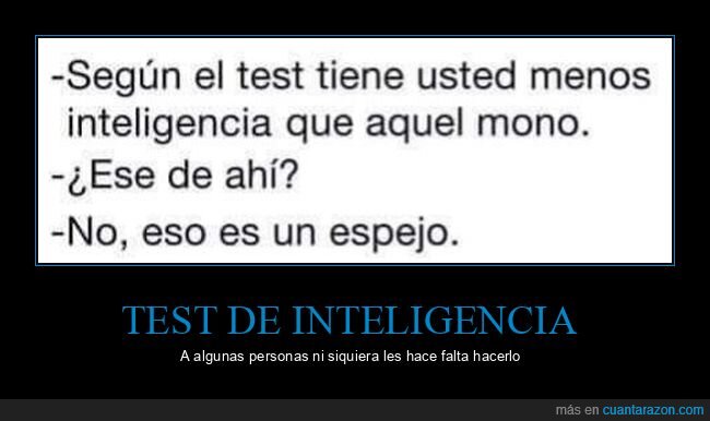 test,inteligencia,mono,espejo