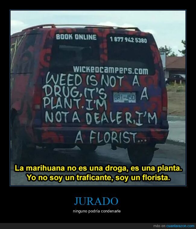 florista,furgoneta,maría,planta,wtf