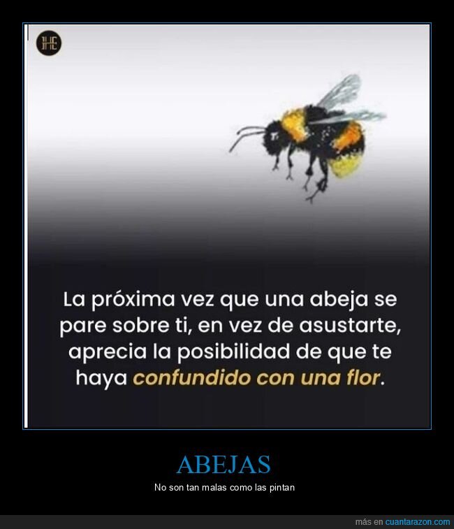 abejas,confundir,flor