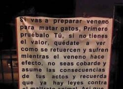 Enlace a Para los que envenenan gatos callejeros