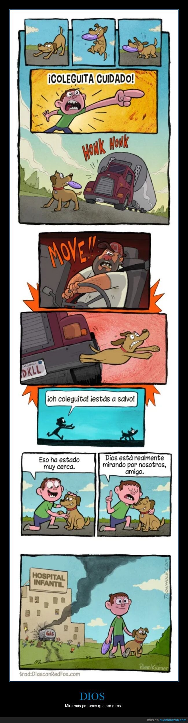 accidente,camión,hospital infantil,perros