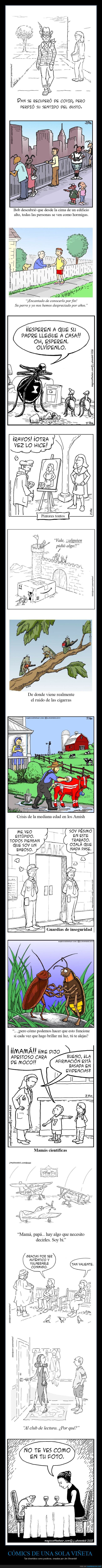 cómics,viñeta,jim shoenbill