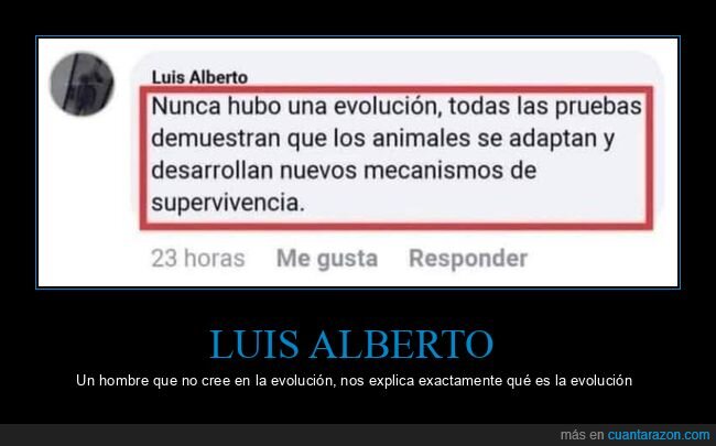 creer,evolución,explicar