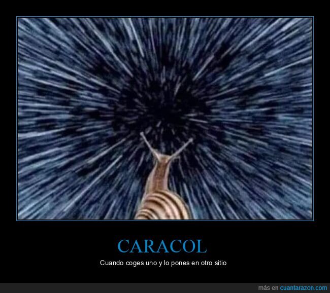 caracol,velocidad