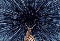 Enlace a Viaje alucinante