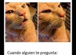Enlace a Memes dolorosamente divertidos sobre ser introvertidos