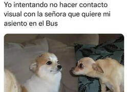 Enlace a Haciéndose el loco