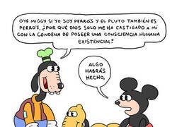 Enlace a La pregunta que todos nos hemos hecho alguna vez