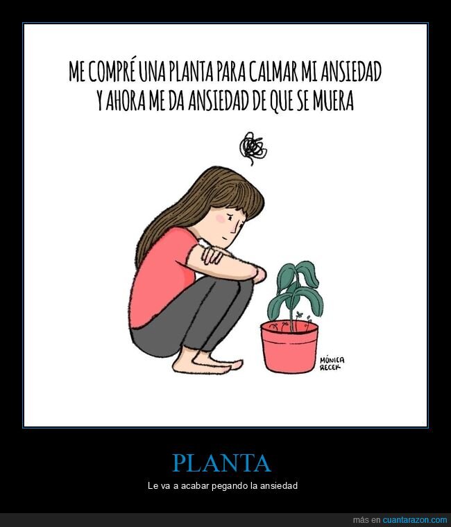 planta,comprar,ansiedad