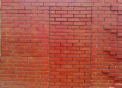 Enlace a Tras esa pared debe haber algo realmente bueno