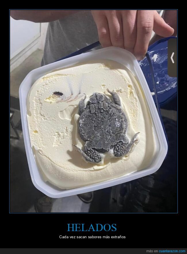 helado,sapo,wtf