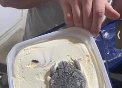 Enlace a Nuevo sabor