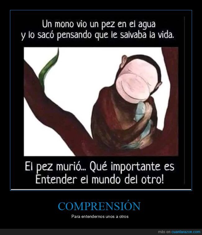 mono,pez,agua,salvar,ahogar